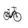 Gudereit E-Bike EC-3 Ei. Ci. HS11 Rh45 500Wh 7Gg Nexus RT r